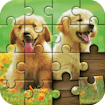 Jigsaw Puzzle